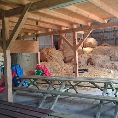 Nordseekuste Spo Ferienwohnung 5 * Tümlauer Koog